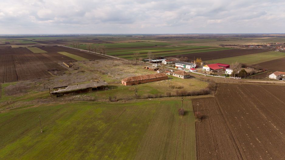 Fermă cu teren intravilan de 35000 mp în Mișca - Poză 10