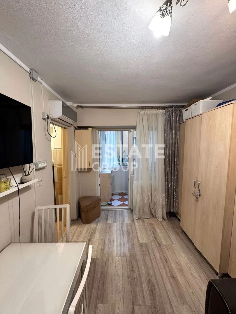 Apartament cu 1 camera, Muzeul Satului - Poză 2