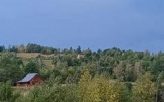 Teren extravilan, 4265 mp, zona Dangau Mare - Poză 3