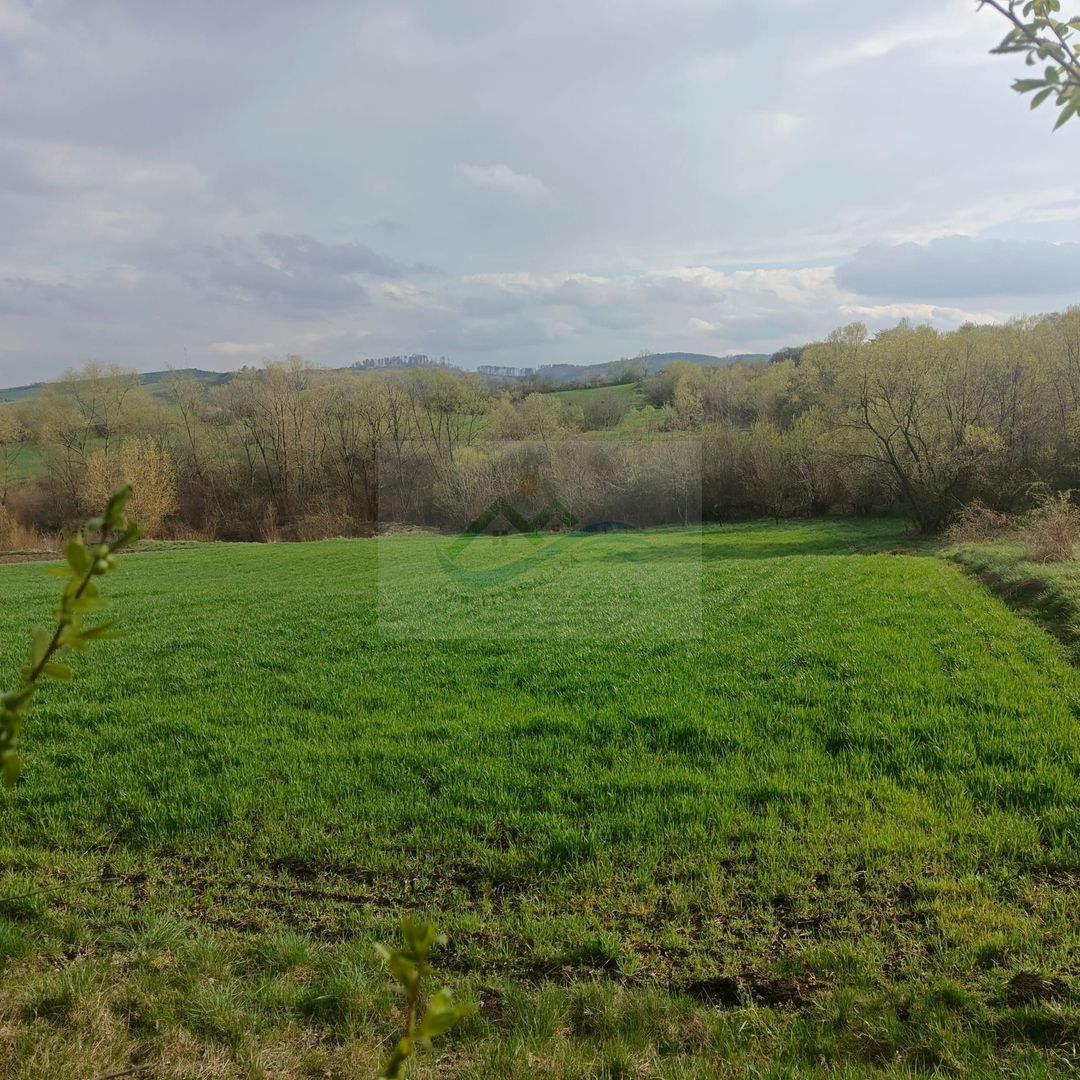 Teren intravilan Ilișești/Suceava - Poză 4