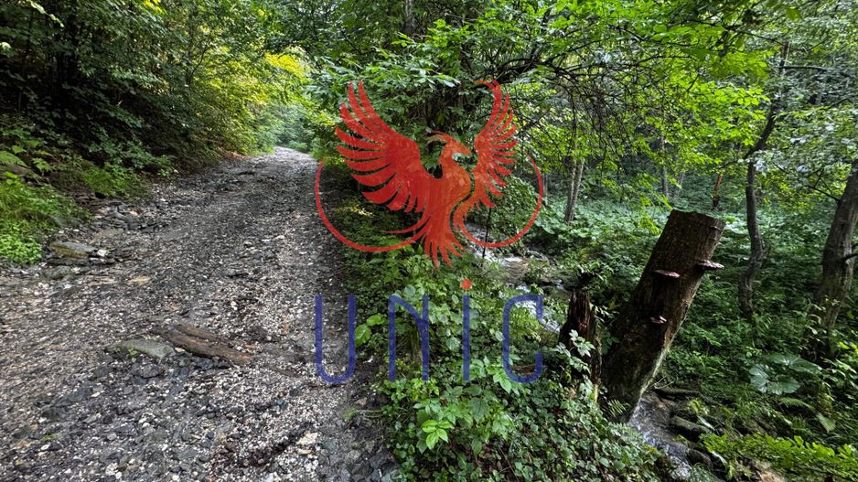 18000 mp de natura pura ,Lupeni, langa Straja - Poză 12