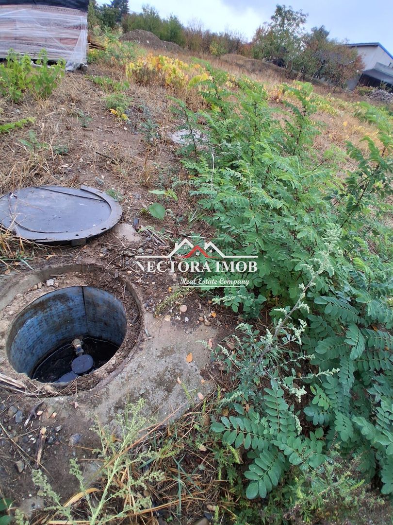 NECTORA IMOB-Teren Intravilan PALEU, 676 mp, Autorizatie Constructie - Poză 3