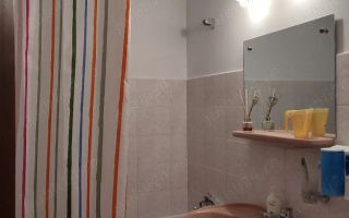 Pacurari,langa gradina botanica,ap 2CD - Poză 5