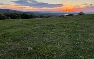 Teren Pietrarie, langa padure, vedere minunata, 1100 mp - Poză 4