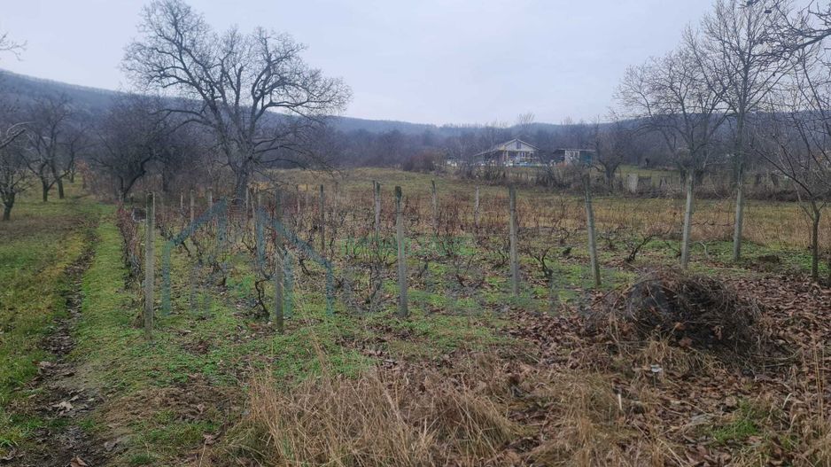 teren + casa batraneasca satul Hilita com Costuleni intravilan - Poză 6