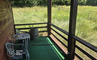 Casa de vacanta in comuna Sistarovat - Poză 10