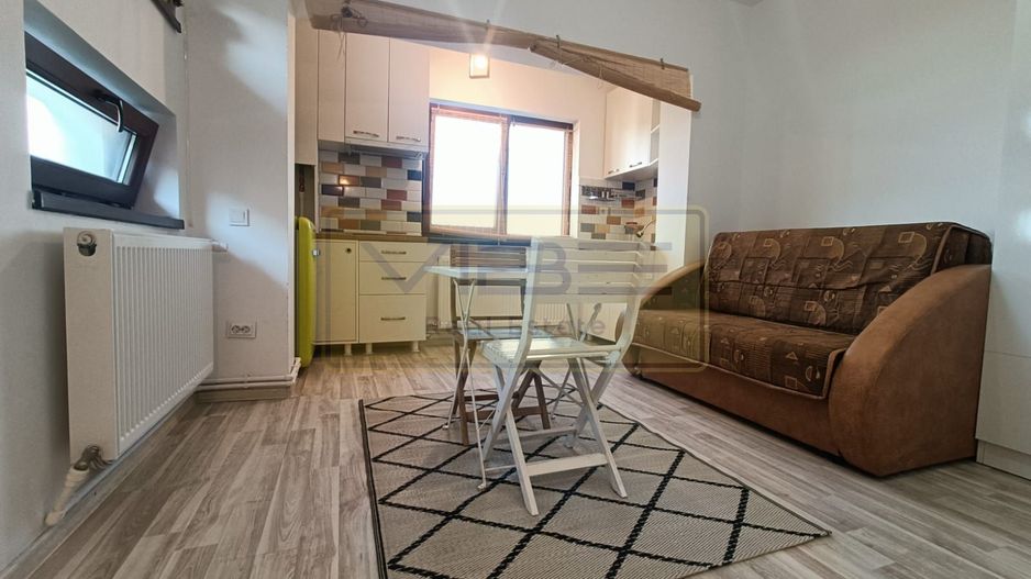 Garsoniera - 250 euro - Vișan ! - Poză 1