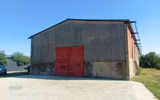 Hala ideala pentru depozitare str.Santaului - Poză 1