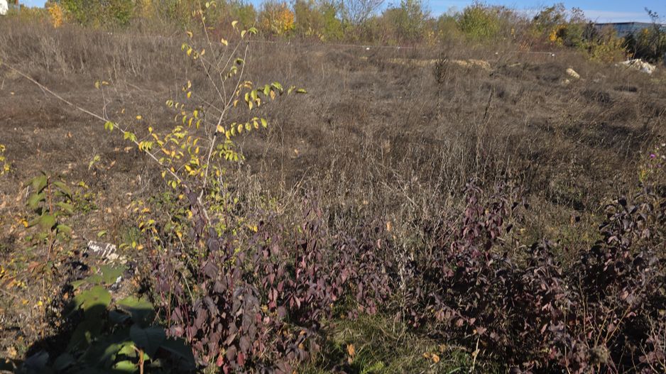 Teren intravilan, zona top, Jandarmeriei, autorizatie la zi! - Poză 5