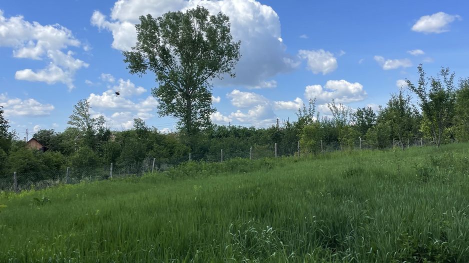 Casa in Comuna Geaca - Poză 13