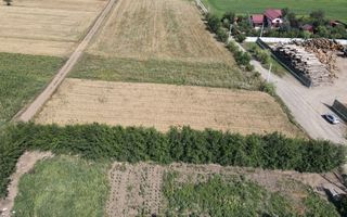 Teren 2000mp INTRAVILAN | Ilisesti | Bucovina - Poză 4