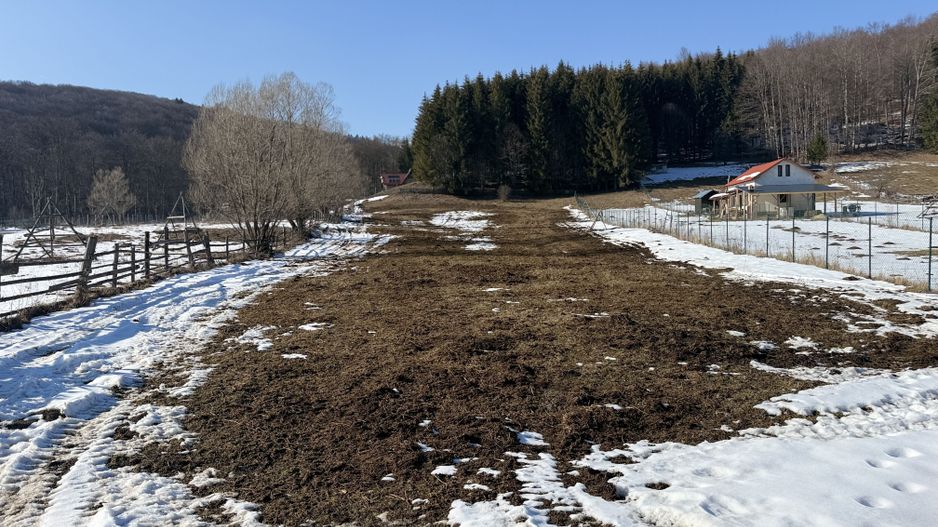 Teren intravilan 4521mp lângă pădure-valea Doftanei -Calea Brasovului - Poză 2