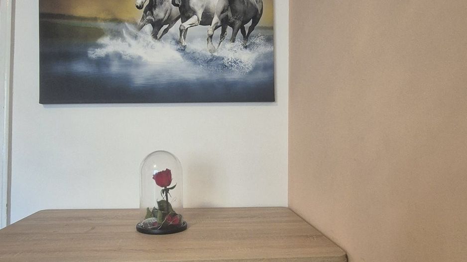 Exclusivitate - apartament cu 2 camere în Centru Civic - Poză 8