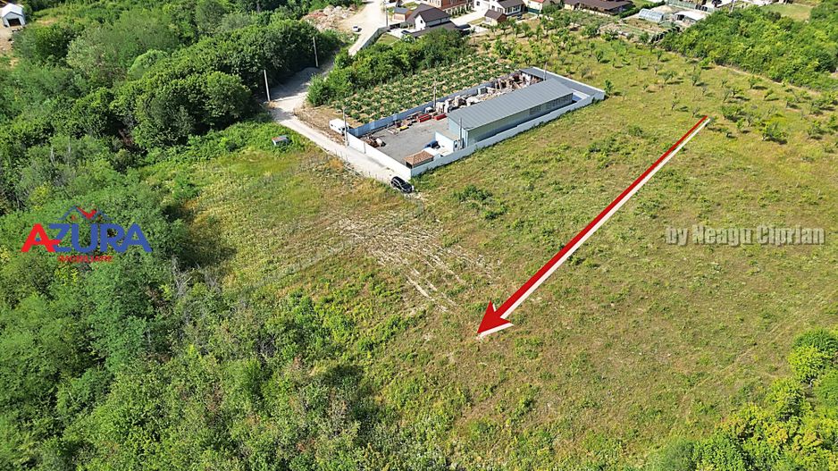 AZURA Imobiliare - Vanzare teren Smeura, zona verde - Poză 3