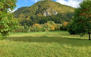 Teren de vis de vanzare in Remeti-Bihor-27p0 mp - Poză 10
