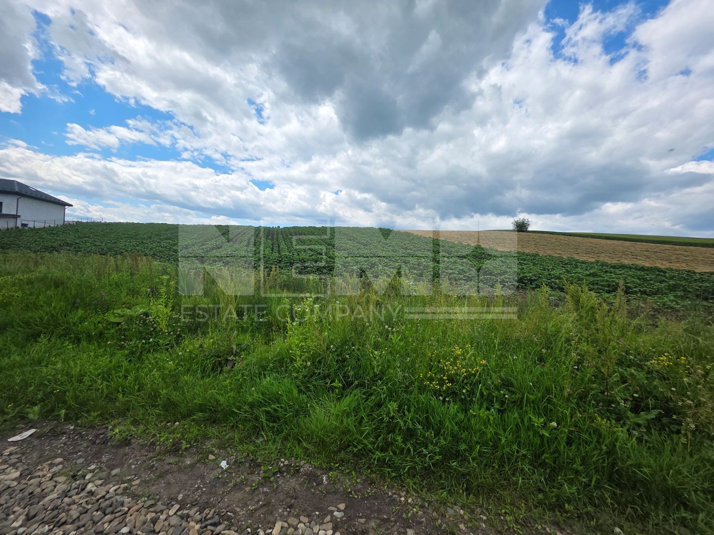 TEREN INTRAVILAN | MOARA NICA, SUCEAVA | 110.000€ - Poză 5