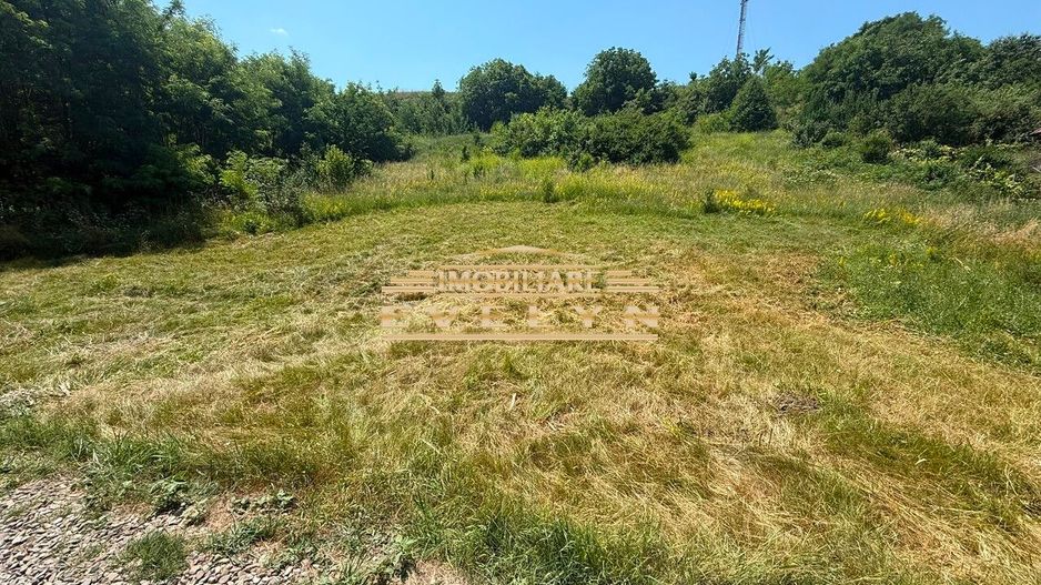 Teren intravilan 3.667 mp de vânzare – Str. Cismea, Botoșani - Poză 1