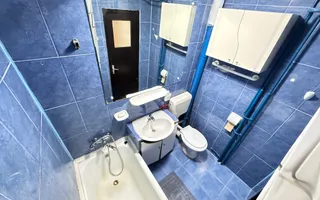 Apartament 2 Camere Teiul Doamnei Lacul Tei - Poză 14