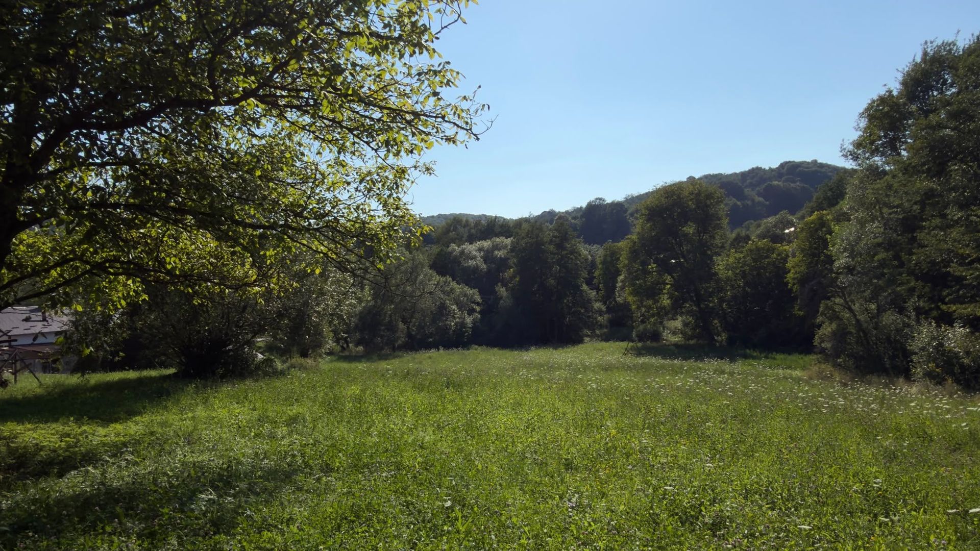 Teren Parau | Valea Danului, Curtea de Arges | Vidraru | - Poză 1