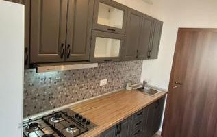 Apartament 1 Camera + Boxa - Exigent Plaza - Lujerului - Poză 4