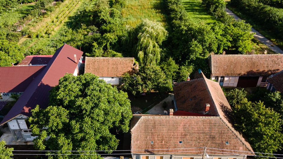 OFERTA VANDUTA  - Casa Izvin | 4 camere - 146 mp | Centrala gaz | Teren 3157 mp - Poză 3