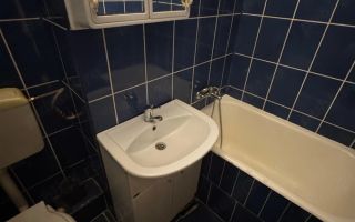 Apartament 2 camere zona Dacia - Poză 9