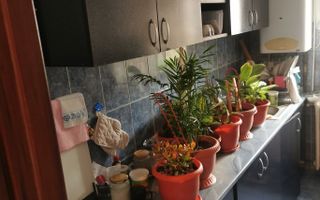 Apartament decomandat cu 3 camere – parter, zona Flora, Mănăștur. - Poză 3