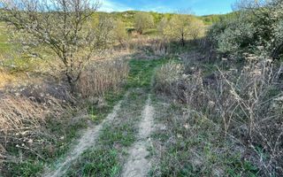 Tren Soporului Intravilan ,5500 MP Utilitati,  Oportunitate - Poză 10