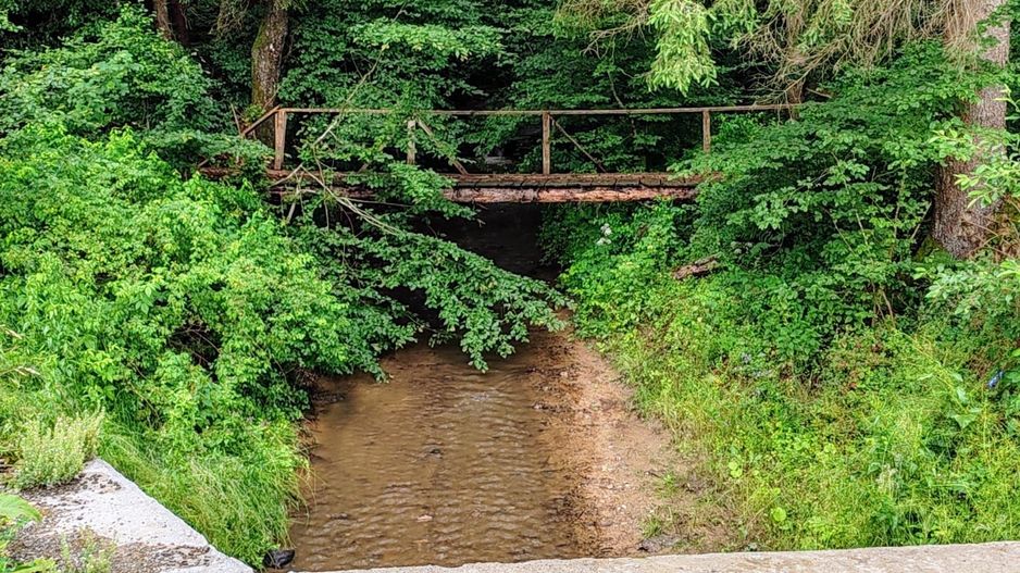 2,8 Ha Teren Extravilan cu Pârâu - Negreni, Cluj - Poză 8