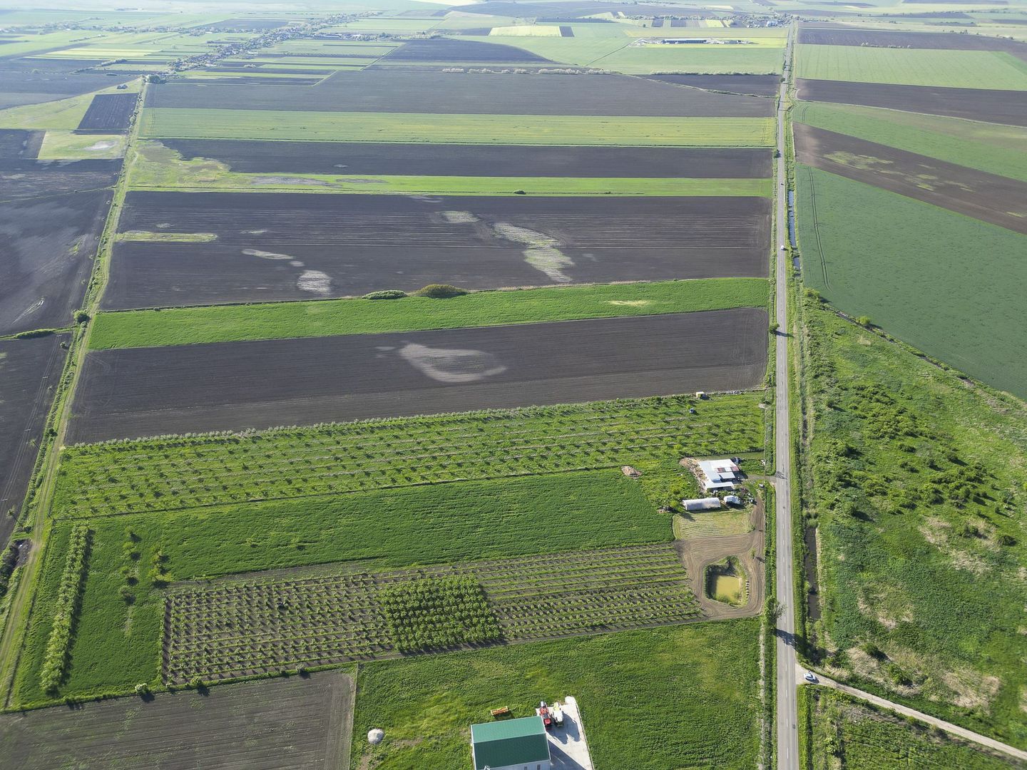 Livadă de nuci și pruni 2.4ha în Variașul Mare - Poză 17