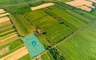 Teren de 10.000 mp situat în Bujac, Arad - Poză 1