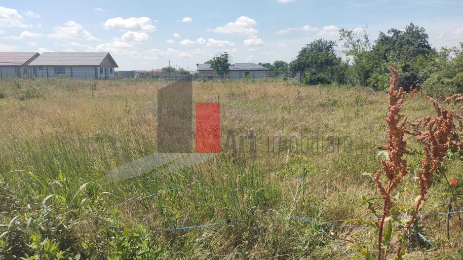Vânzare 2 loturi de casă Dobreni Giurgiu - Poză 4