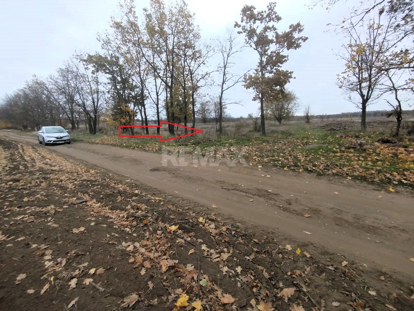 Teren pentru Construcție – 22 Ari | Oportunitate de Investiție | Chetrosu, Anenii Noi - Poză 3