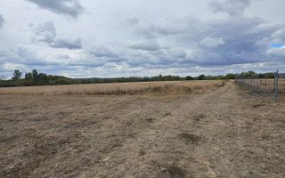 Teren Intravilan Sacadat 2000 mp - Poză 6