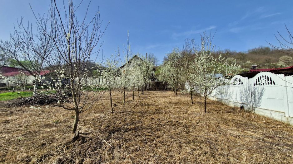 AZURA Imobiliare - Teren si Casa Micesti - Poză 3