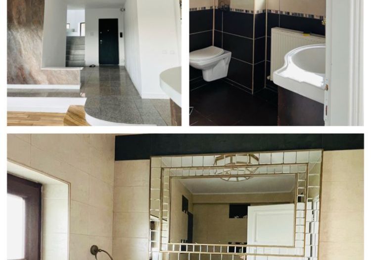 Vila Plopii fara sot, Bucium - Proprietar - Poză 7