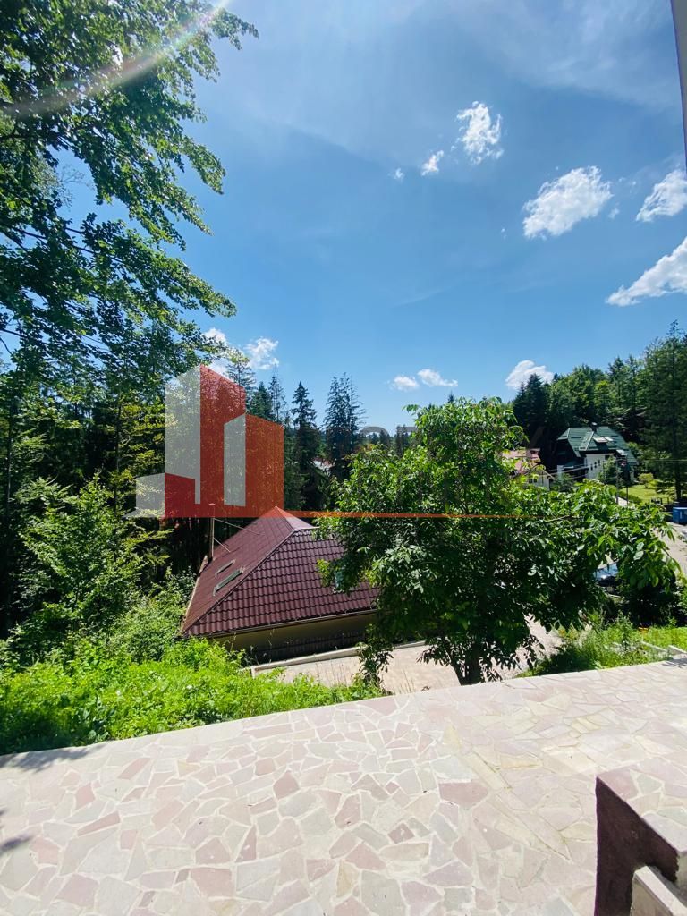 Vila Sinaia - Poză 12