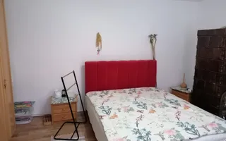 Casa individuala | Teren 868 MP | 2 bai | Pivnita | Arpasu - Poză 27