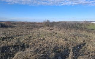 Teren Intravilan de Vânzare – 4300 mp – Cristian, zona Aeroport - Poză 8