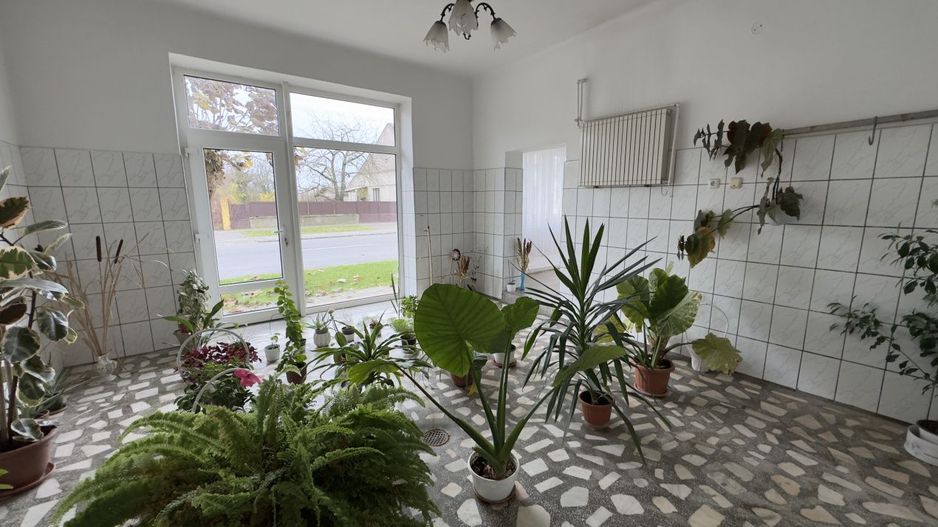 Casă 7 camere cu Teren 4.620 mp | Potențial pentru rezidență sau afacere | Carei - Poză 17