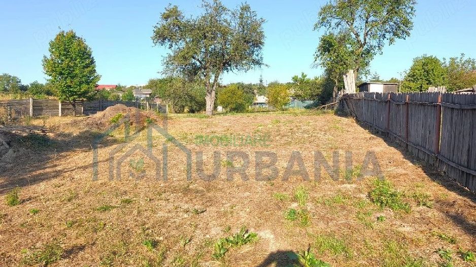 proprietar, vand teren intravilan in ciurea - Poză 3