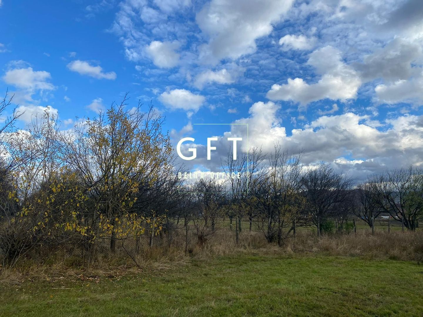 Teren Rusu Bargaului 48 ari - Poză 3