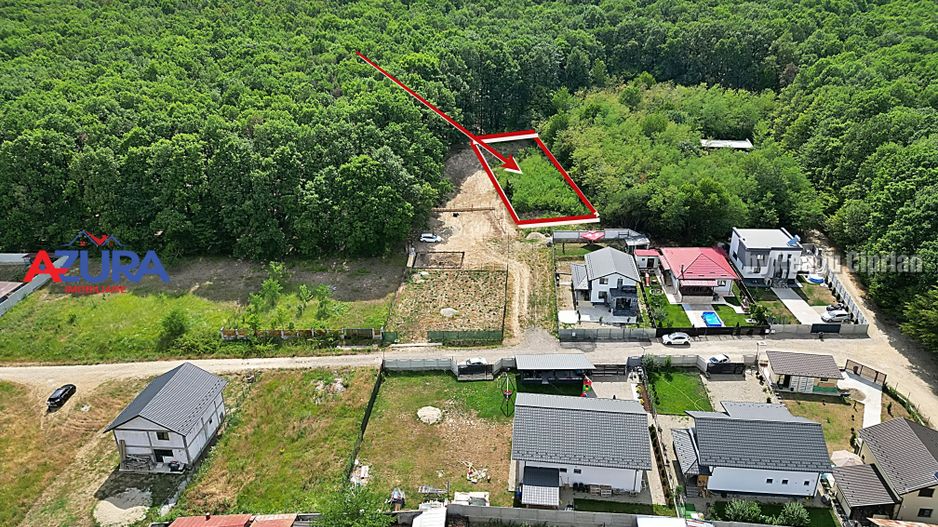 AZURA Imobiliare - Vanzare teren Hintesti, langa padure, 300m din DN - Poză 3
