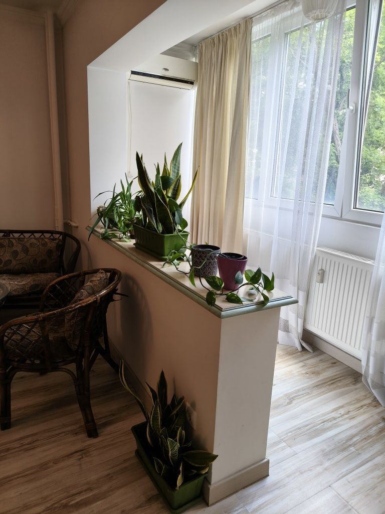 Vanzare Garsonieră de revistă la Etajul 1 – Rond Alba Iulia / Dristor - Poză 7