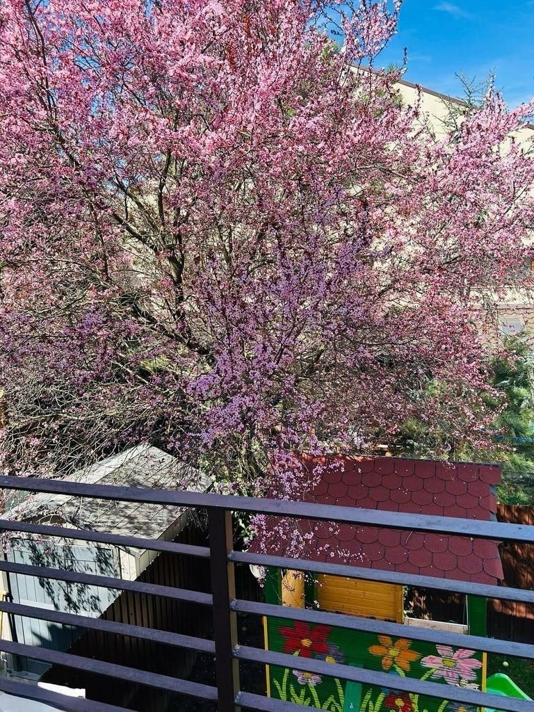 Casa cu 5 camere si garaj - la 100 ml distanta de lacul Grivita - Poză 8