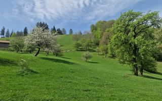 Langa emblematicul Castelul Bran, in areal colinar, 5.700mp intravilan - Poză 3