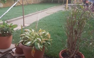 Casa Individuala | Trei Stejari | 130 MPU | 4 Camere - Poză 10