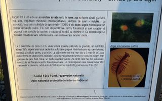 OPORTUNITATE la Ocna Sibiului - Teren Casă/Cabană lângă Lacul Fără Fund - Poză 6