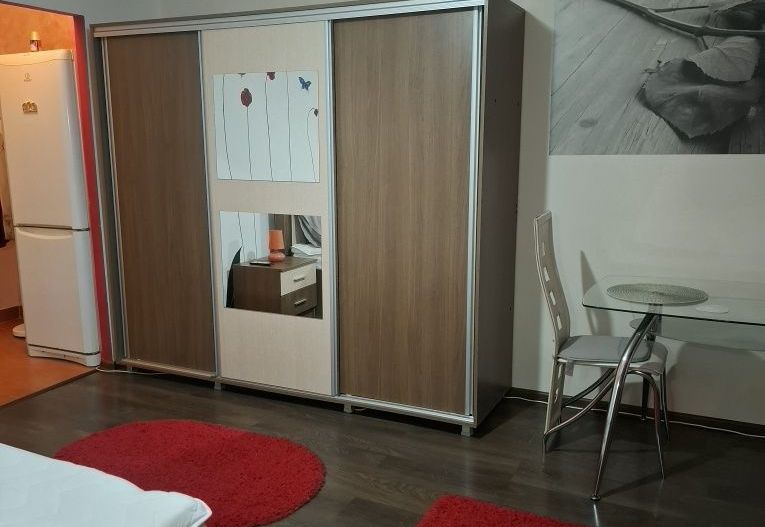 Garsoniera- Lapus - Poză 3