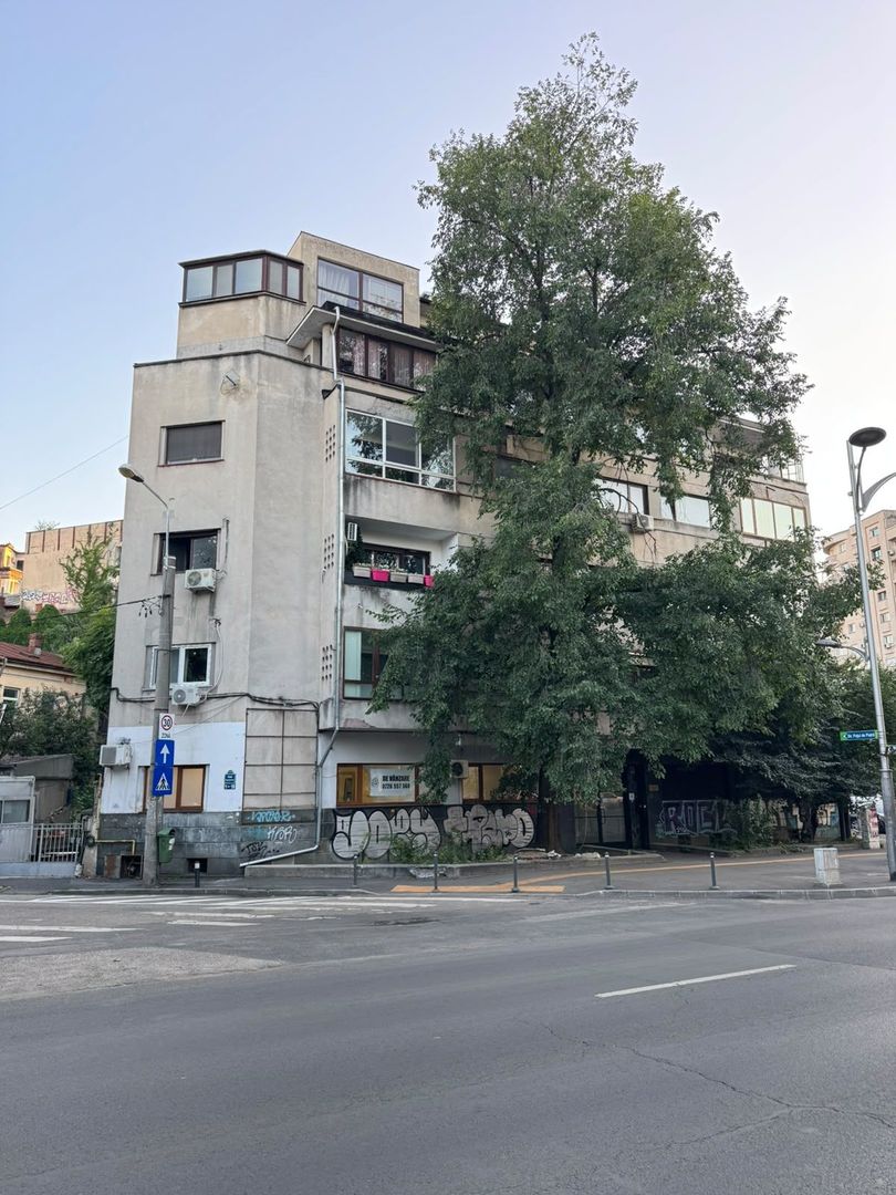 Apartament Victoriei, 79 mp, Parter - Potrivit Locuință sau Spațiu Comercial v19 - Poză 19